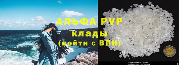 тгк Володарск