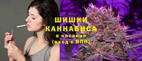 тгк Володарск