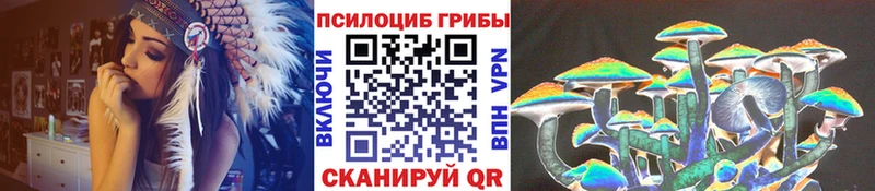 Псилоцибиновые грибы Cubensis  Купить  Реутов 