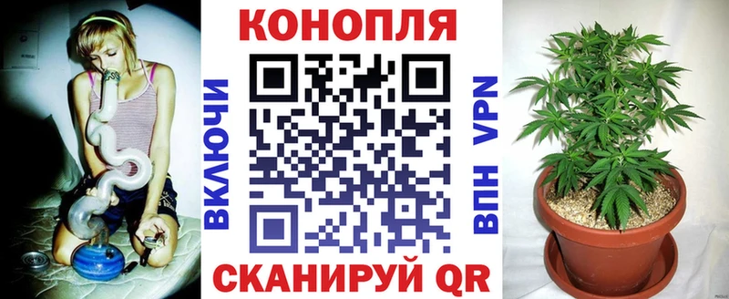 Каннабис OG Kush  Купить где  Реутов 